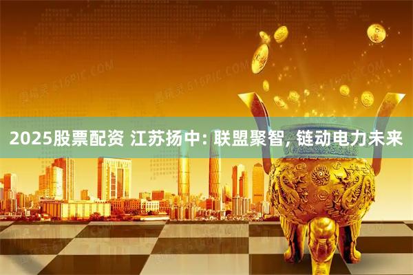 2025股票配资 江苏扬中: 联盟聚智, 链动电力未来