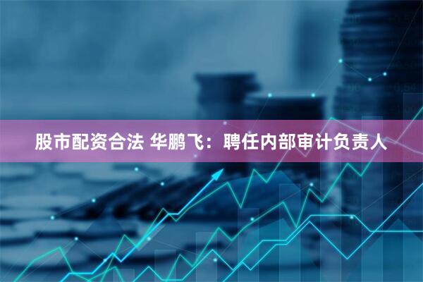股市配资合法 华鹏飞：聘任内部审计负责人